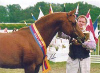 /album/galerie-de-photos-pedigree/a292734-250916758262795-542792-n-jpg/