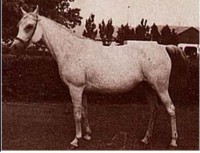 /album/galerie-de-photos-pedigree/a577503-404947616193041-932301810-n-jpg/