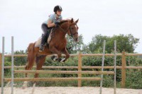 /album/hafis-arabian/a10468-478967758791026-1503581667-n-jpg1/